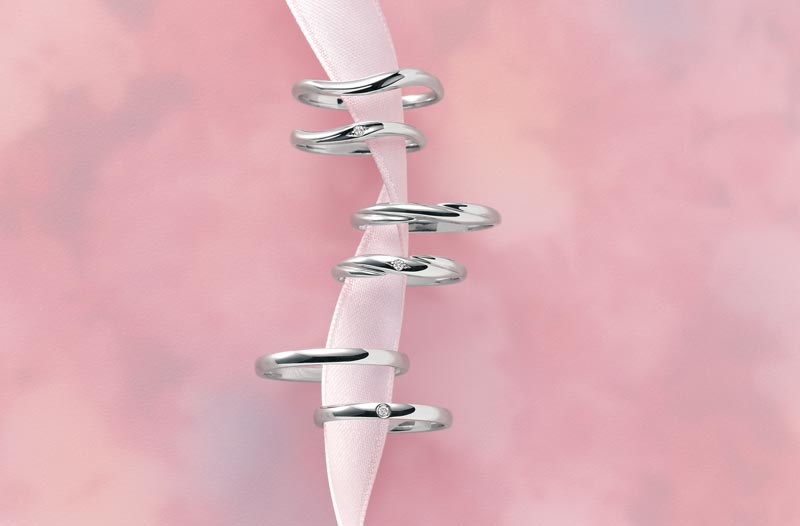 ノクル-プラチナモデル